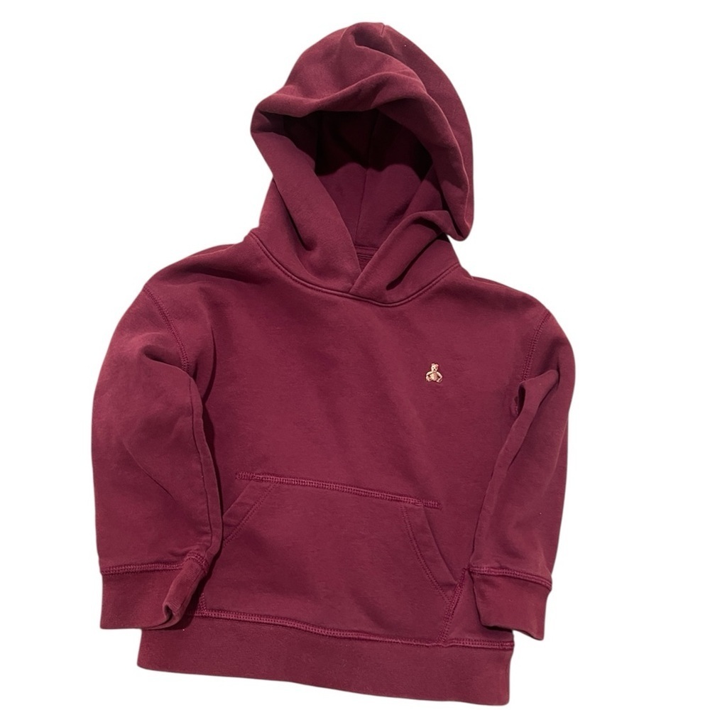 Toddler boys Baby Gap Hoodie
